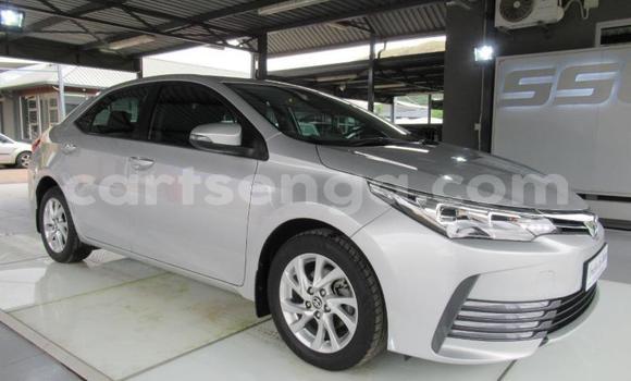 Buy Used Toyota Corolla Silver Car in Ezulwini in Hhohho Buy Used Toyota Corolla Silver Car in Ezulwini in Hhohho