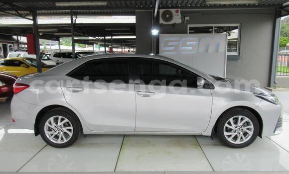 Buy Used Toyota Corolla Silver Car in Ezulwini in Hhohho Buy Used Toyota Corolla Silver Car in Ezulwini in Hhohho