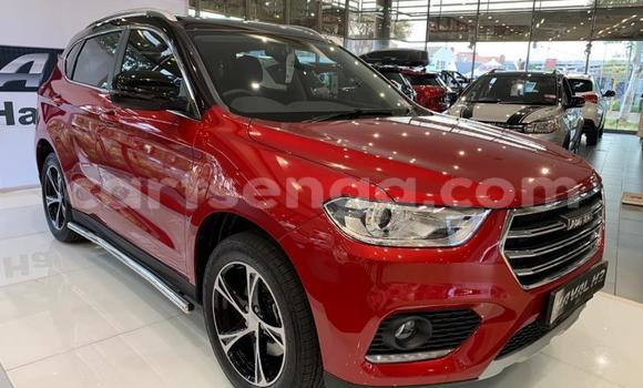 Acheter Occasion Voiture Haval H2 Rouge à Mbabane, Manzini Acheter Occasion Voiture Haval H2 Rouge à Mbabane, Manzini