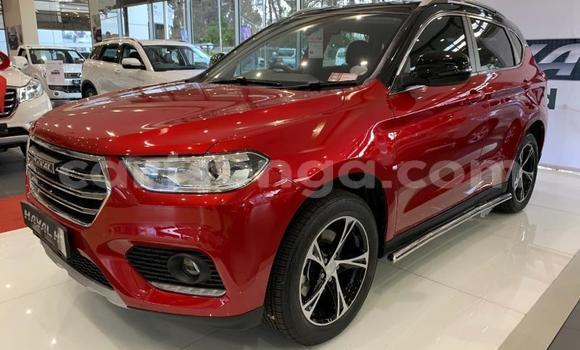 Acheter Occasion Voiture Haval H2 Rouge à Mbabane, Manzini Acheter Occasion Voiture Haval H2 Rouge à Mbabane, Manzini