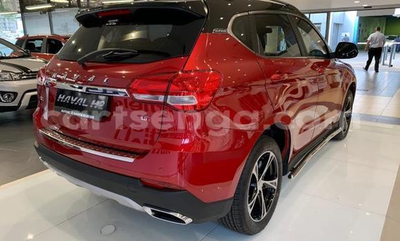 Acheter Occasion Voiture Haval H2 Rouge à Mbabane, Manzini Acheter Occasion Voiture Haval H2 Rouge à Mbabane, Manzini