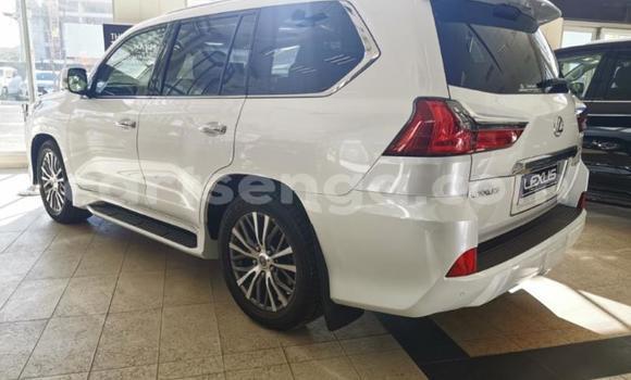 Acheter Occasion Voiture Lexus LX 570 Blanc à Mbabane, Manzini Acheter Occasion Voiture Lexus LX 570 Blanc à Mbabane, Manzini