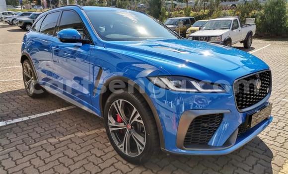 Acheter Occasion Voiture Jaguar F-Pace Bleu à Mbabane, Manzini Acheter Occasion Voiture Jaguar F-Pace Bleu à Mbabane, Manzini