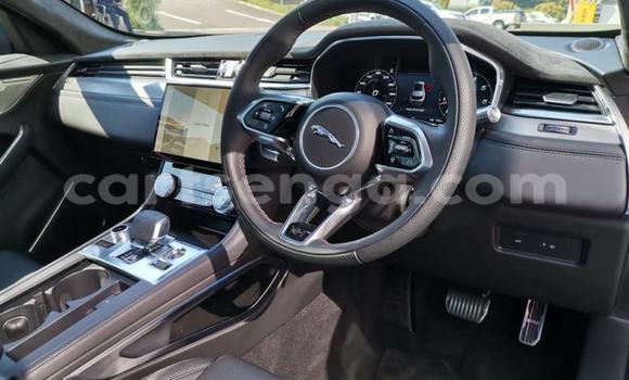 Acheter Occasion Voiture Jaguar F-Pace Bleu à Mbabane, Manzini Acheter Occasion Voiture Jaguar F-Pace Bleu à Mbabane, Manzini