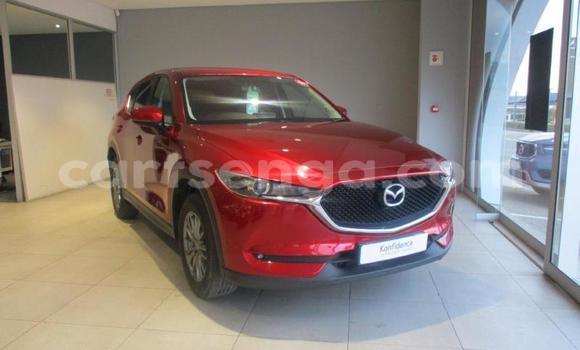 Buy Used Mazda CX-5 Red Car in Bulembu in Hhohho Buy Used Mazda CX-5 Red Car in Bulembu in Hhohho
