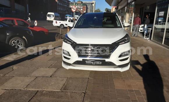 Acheter Occasion Voiture Hyundai Tucson Blanc à Mbabane, Manzini Acheter Occasion Voiture Hyundai Tucson Blanc à Mbabane, Manzini