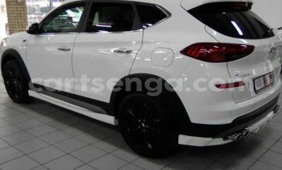 Buy Used Volkswagen Tiguan White Car in Mbabane in Manzini Buy Used Volkswagen Tiguan White Car in Mbabane in Manzini