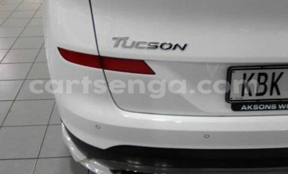 Buy Used Volkswagen Tiguan White Car in Mbabane in Manzini Buy Used Volkswagen Tiguan White Car in Mbabane in Manzini