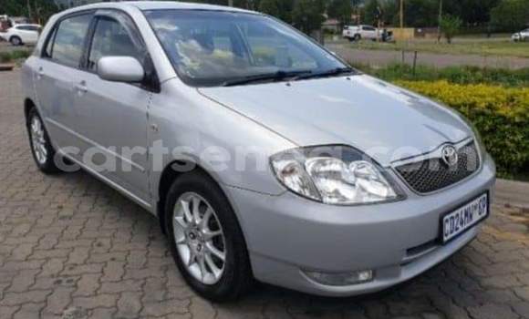 Buy Used Toyota Runx Silver Car in Ezulwini in Hhohho Buy Used Toyota Runx Silver Car in Ezulwini in Hhohho