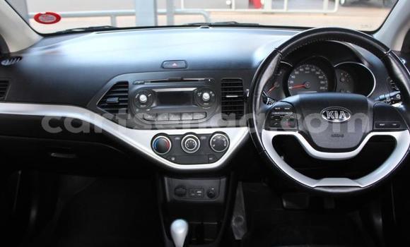 Nunua Ilio tumika Kia Picanto Blue Gari ndani ya Big Bend nchini Wilaya ya Lubombo Nunua Ilio tumika Kia Picanto Blue Gari ndani ya Big Bend nchini Wilaya ya Lubombo