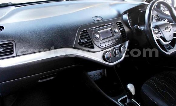 Nunua Ilio tumika Kia Picanto Blue Gari ndani ya Big Bend nchini Wilaya ya Lubombo Nunua Ilio tumika Kia Picanto Blue Gari ndani ya Big Bend nchini Wilaya ya Lubombo