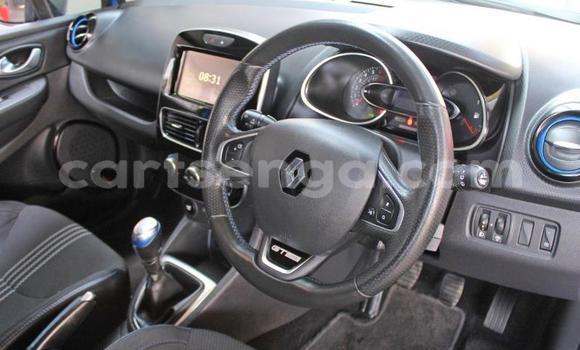 Nunua Ilio tumika Renault Clio Blue Gari ndani ya Hlatikulu nchini Wilaya ya Shiselweni Nunua Ilio tumika Renault Clio Blue Gari ndani ya Hlatikulu nchini Wilaya ya Shiselweni