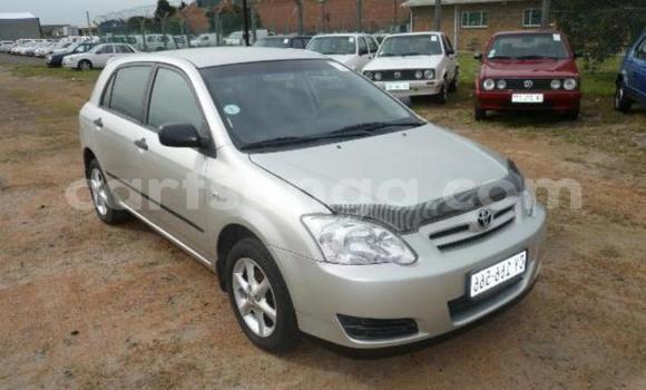 Buy Used Toyota Runx Silver Car in Hlatikulu in Shiselweni District