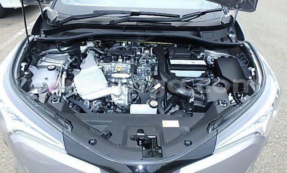 Buy Used Toyota C-HR Other Car in Mbabane in Manzini Buy Used Toyota C-HR Other Car in Mbabane in Manzini