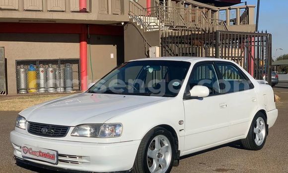 Buy Used Toyota Corolla White Car in Hlatikulu in Shiselweni District