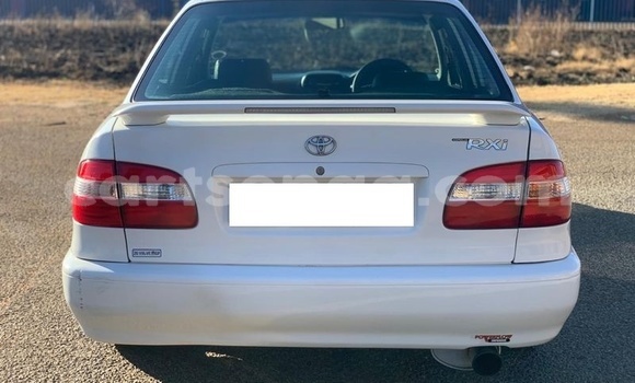 Nunua Ilio tumika Toyota Corolla White Gari ndani ya Hlatikulu nchini Wilaya ya Shiselweni Nunua Ilio tumika Toyota Corolla White Gari ndani ya Hlatikulu nchini Wilaya ya Shiselweni