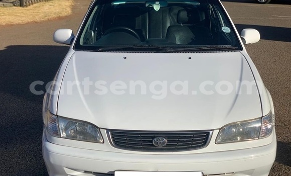 Nunua Ilio tumika Toyota Corolla White Gari ndani ya Hlatikulu nchini Wilaya ya Shiselweni Nunua Ilio tumika Toyota Corolla White Gari ndani ya Hlatikulu nchini Wilaya ya Shiselweni