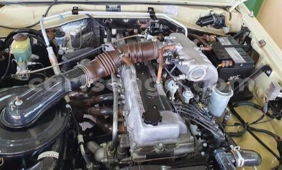 Buy Used Toyota Land Cruiser Other Car in Mbabane in Manzini Buy Used Toyota Land Cruiser Other Car in Mbabane in Manzini
