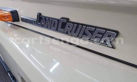 Buy Used Toyota Land Cruiser Other Car in Mbabane in Manzini Buy Used Toyota Land Cruiser Other Car in Mbabane in Manzini