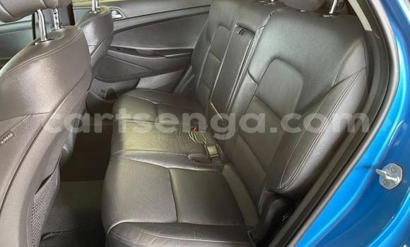 Nunua Ilio tumika Hyundai Tucson Blue Gari ndani ya Manzini nchini Manzini Nunua Ilio tumika Hyundai Tucson Blue Gari ndani ya Manzini nchini Manzini