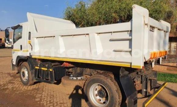 Acheter Occasion Utilitaire Isuzu FTR 850 Blanc à Mbabane, Manzini Acheter Occasion Utilitaire Isuzu FTR 850 Blanc à Mbabane, Manzini