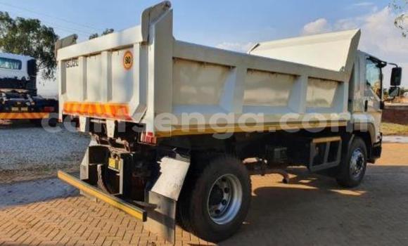 Acheter Occasion Utilitaire Isuzu FTR 850 Blanc à Mbabane, Manzini Acheter Occasion Utilitaire Isuzu FTR 850 Blanc à Mbabane, Manzini