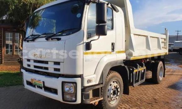 Acheter Occasion Utilitaire Isuzu FTR 850 Blanc à Mbabane, Manzini Acheter Occasion Utilitaire Isuzu FTR 850 Blanc à Mbabane, Manzini