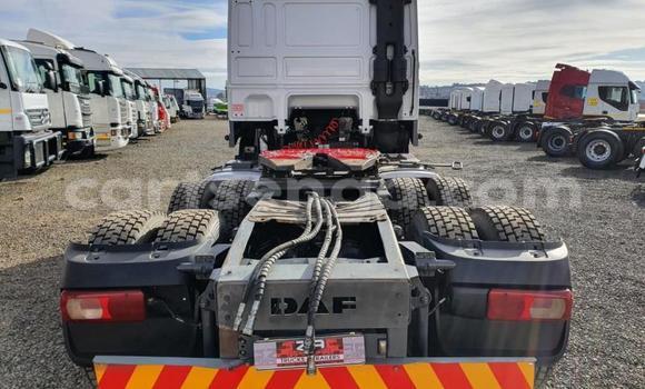 Nunua Ilio tumika DAF CF White Lori ndani ya Hlatikulu nchini Wilaya ya Shiselweni Nunua Ilio tumika DAF CF White Lori ndani ya Hlatikulu nchini Wilaya ya Shiselweni