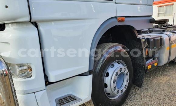 Nunua Ilio tumika DAF CF White Lori ndani ya Hlatikulu nchini Wilaya ya Shiselweni Nunua Ilio tumika DAF CF White Lori ndani ya Hlatikulu nchini Wilaya ya Shiselweni