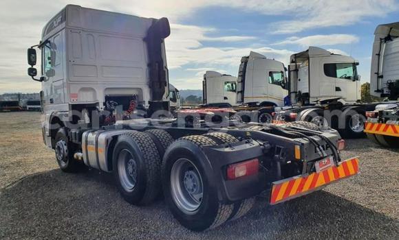 Nunua Ilio tumika DAF CF White Lori ndani ya Hlatikulu nchini Wilaya ya Shiselweni Nunua Ilio tumika DAF CF White Lori ndani ya Hlatikulu nchini Wilaya ya Shiselweni