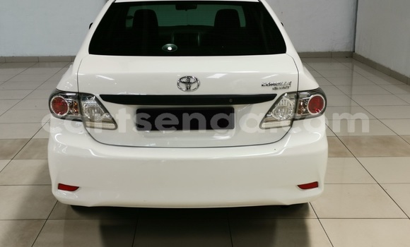 Buy Used Toyota Corolla White Car in Mbabane in Manzini Buy Used Toyota Corolla White Car in Mbabane in Manzini