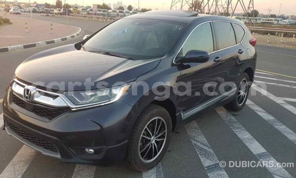 Buy Import Honda C Other Bike in Import - Dubai in Hhohho Buy Import Honda C Other Bike in Import - Dubai in Hhohho