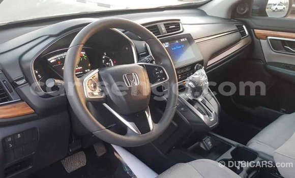 Buy Import Honda C Other Bike in Import - Dubai in Hhohho Buy Import Honda C Other Bike in Import - Dubai in Hhohho