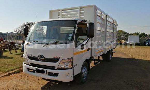 Nunua Ilio tumika Hino 300 Series White Lori ndani ya Mbabane nchini Manzini