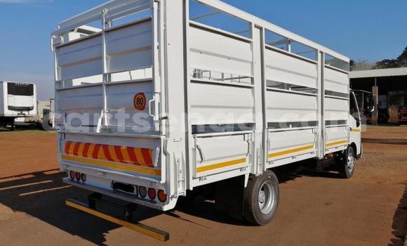 Buy Used Hino 300 Series White Truck in Mbabane in Manzini Buy Used Hino 300 Series White Truck in Mbabane in Manzini