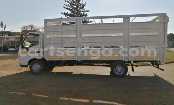 Buy Used Hino 300 Series White Truck in Mbabane in Manzini Buy Used Hino 300 Series White Truck in Mbabane in Manzini
