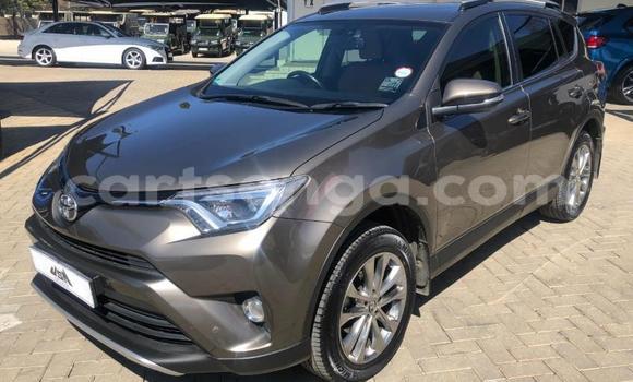 Buy Used Toyota RAV4 Beige Car in Bulembu in Hhohho