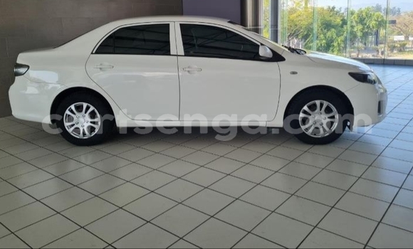 Buy Used Toyota Corolla White Car in Malkerns in Manzini Buy Used Toyota Corolla White Car in Malkerns in Manzini