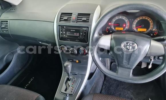 Buy Used Toyota Corolla White Car in Malkerns in Manzini Buy Used Toyota Corolla White Car in Malkerns in Manzini