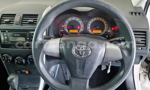 Buy Used Toyota Corolla White Car in Malkerns in Manzini Buy Used Toyota Corolla White Car in Malkerns in Manzini