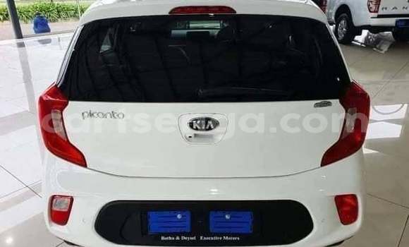 Buy Used Kia Picanto White Car in Mbabane in Manzini Buy Used Kia Picanto White Car in Mbabane in Manzini