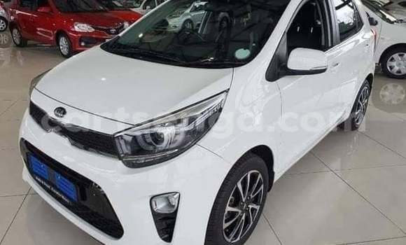 Buy Used Kia Picanto White Car in Mbabane in Manzini Buy Used Kia Picanto White Car in Mbabane in Manzini