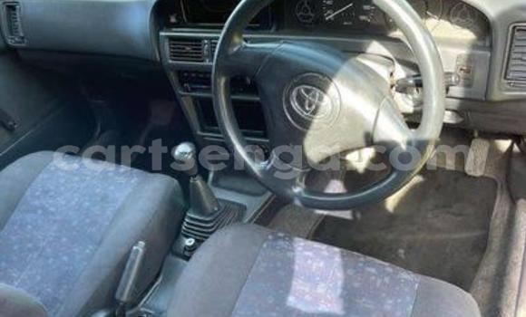 Buy Used Toyota Corolla Red Car in Mbabane in Manzini Buy Used Toyota Corolla Red Car in Mbabane in Manzini