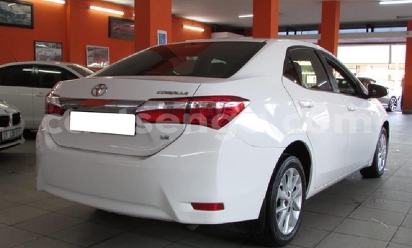 Nunua Ilio tumika Toyota Corolla White Gari ndani ya Big Bend nchini Wilaya ya Lubombo Nunua Ilio tumika Toyota Corolla White Gari ndani ya Big Bend nchini Wilaya ya Lubombo