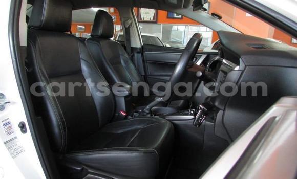 Nunua Ilio tumika Toyota Corolla White Gari ndani ya Big Bend nchini Wilaya ya Lubombo Nunua Ilio tumika Toyota Corolla White Gari ndani ya Big Bend nchini Wilaya ya Lubombo