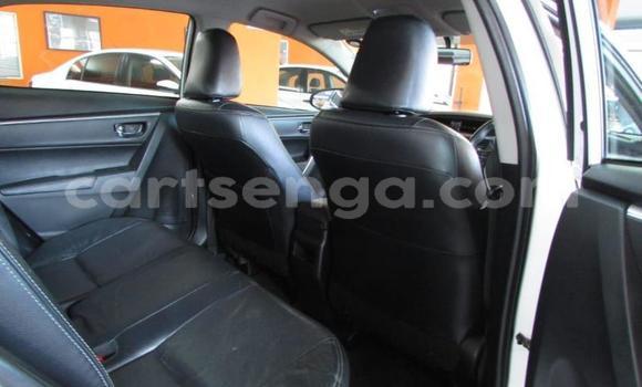 Nunua Ilio tumika Toyota Corolla White Gari ndani ya Big Bend nchini Wilaya ya Lubombo Nunua Ilio tumika Toyota Corolla White Gari ndani ya Big Bend nchini Wilaya ya Lubombo