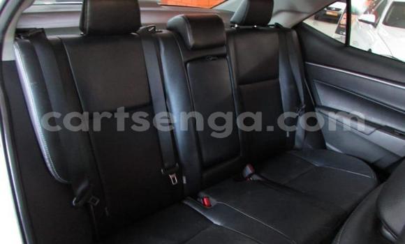 Nunua Ilio tumika Toyota Corolla White Gari ndani ya Big Bend nchini Wilaya ya Lubombo Nunua Ilio tumika Toyota Corolla White Gari ndani ya Big Bend nchini Wilaya ya Lubombo