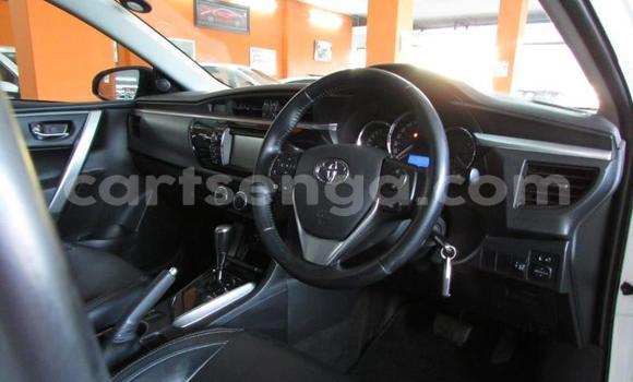 Nunua Ilio tumika Toyota Corolla White Gari ndani ya Big Bend nchini Wilaya ya Lubombo Nunua Ilio tumika Toyota Corolla White Gari ndani ya Big Bend nchini Wilaya ya Lubombo