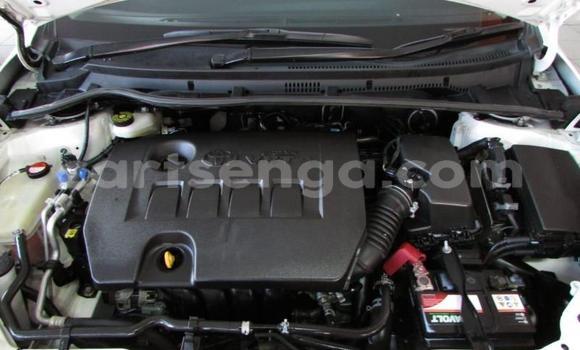 Nunua Ilio tumika Toyota Corolla White Gari ndani ya Big Bend nchini Wilaya ya Lubombo Nunua Ilio tumika Toyota Corolla White Gari ndani ya Big Bend nchini Wilaya ya Lubombo