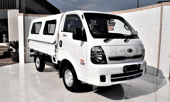 Nunua Ilio tumika Kia Carens White Gari ndani ya Hluti nchini Wilaya ya Shiselweni Nunua Ilio tumika Kia Carens White Gari ndani ya Hluti nchini Wilaya ya Shiselweni